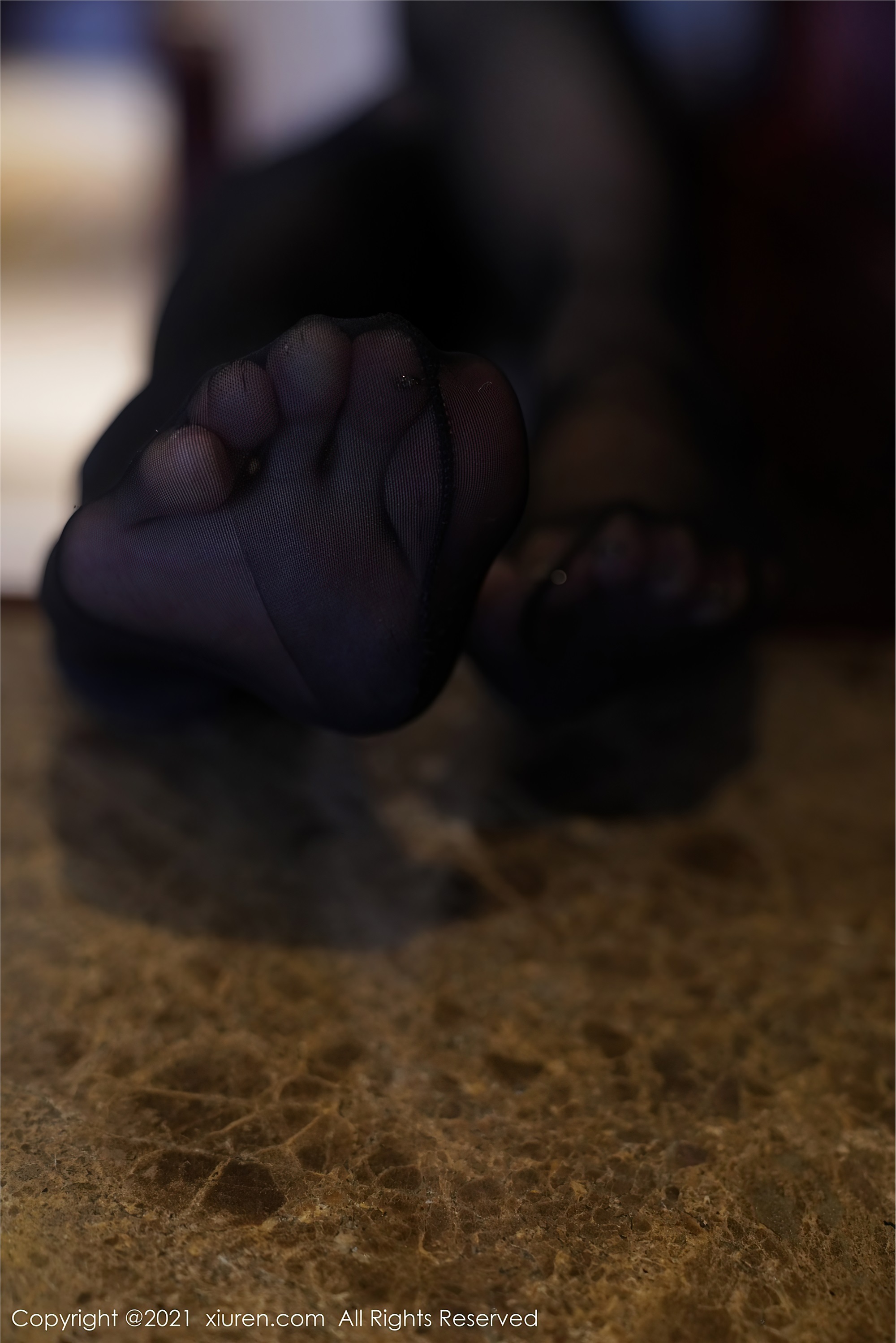 XiuRen秀人网  2021.03.16 No.3207 果儿Victoria